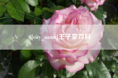 永城王子豪百科