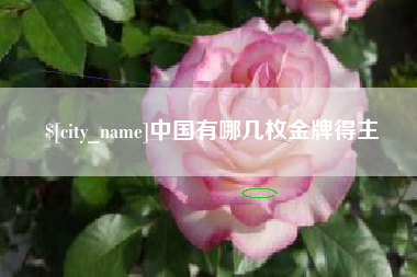 永城中国有哪几枚金牌得主
