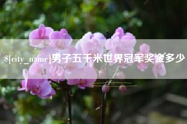 永城男子五千米世界冠军奖金多少