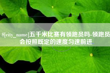 永城五千米比赛有领跑员吗-领跑员会按照既定的速度匀速前进