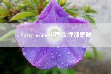 永城中国金牌都是啥
