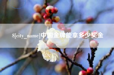 永城中国金牌能拿多少奖金