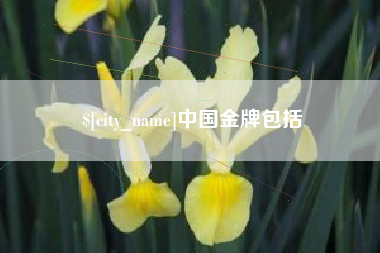 永城中国金牌包括