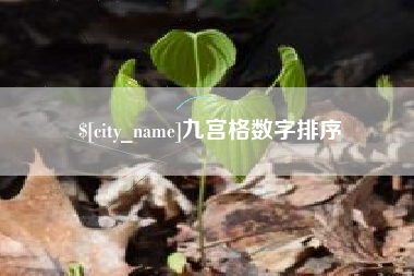 永城九宫格数字排序