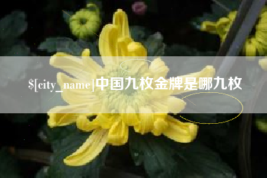 永城中国九枚金牌是哪九枚