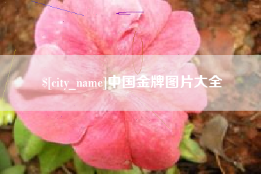 永城中国金牌图片大全