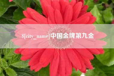 永城中国金牌第九金