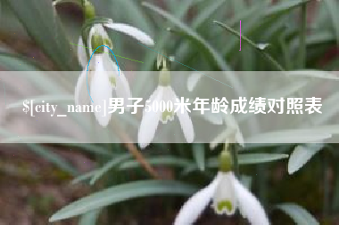 永城男子5000米年龄成绩对照表
