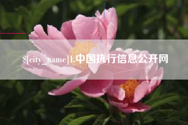 永城1.中国执行信息公开网