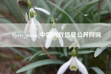 永城中国执行信息公开网询