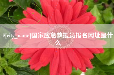永城国家应急救援员报名网址是什么