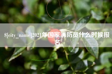 永城2021年国家消防员什么时候报名