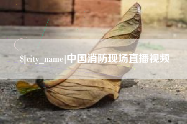永城中国消防现场直播视频