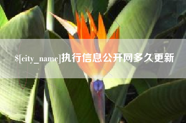 永城执行信息公开网多久更新
