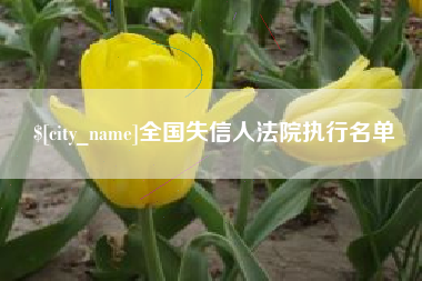 永城全国失信人法院执行名单