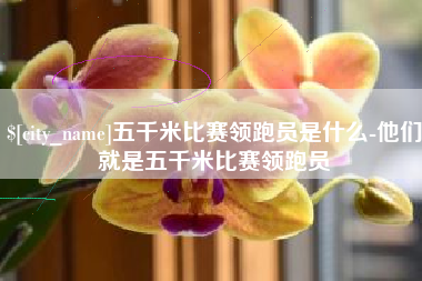 永城五千米比赛领跑员是什么-他们就是五千米比赛领跑员