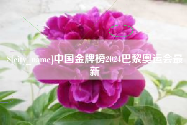 永城中国金牌榜2024巴黎奥运会最新