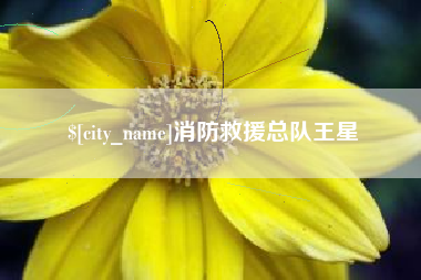 永城消防救援总队王星