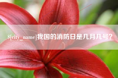 永城我国的消防日是几月几号？