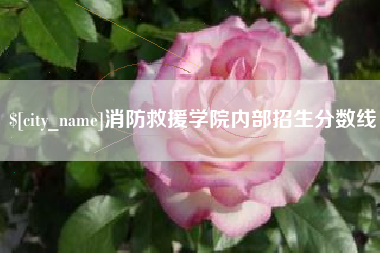 永城消防救援学院内部招生分数线