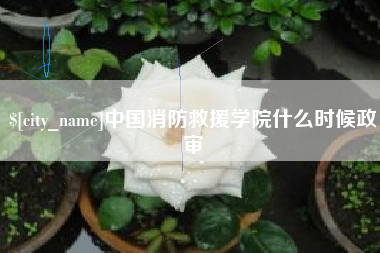 永城中国消防救援学院什么时候政审