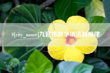 永城九宫格数字填法和规律