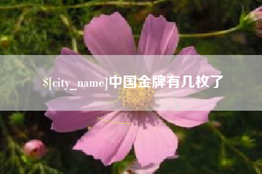 永城中国金牌有几枚了