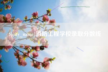 永城消防工程学校录取分数线
