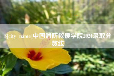 永城中国消防救援学院2021录取分数线