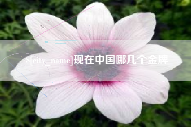 永城现在中国哪几个金牌