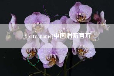永城中国消防官方