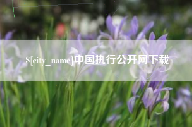 永城中国执行公开网下载