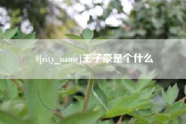 永城王子豪是个什么