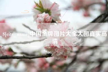 永城中国金牌图片大全大图真实高清
