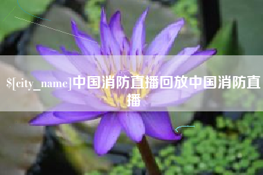 永城中国消防直播回放中国消防直播