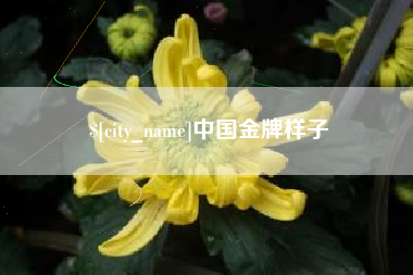永城中国金牌样子