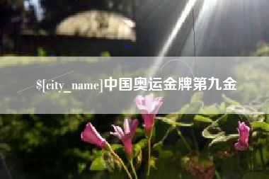 永城中国奥运金牌第九金
