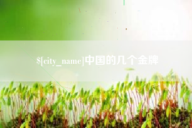永城中国的几个金牌