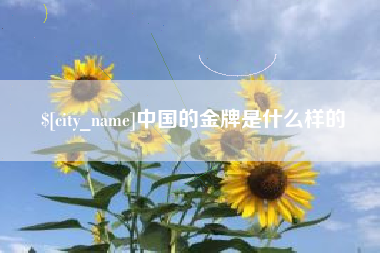永城中国的金牌是什么样的
