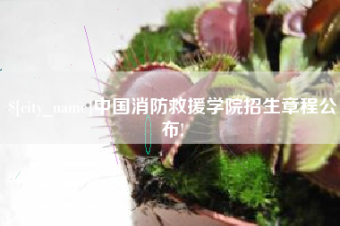 永城中国消防救援学院招生章程公布!