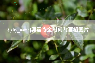 永城奥运夺金时刻九宫格图片