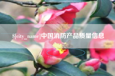 永城中国消防产品质量信息