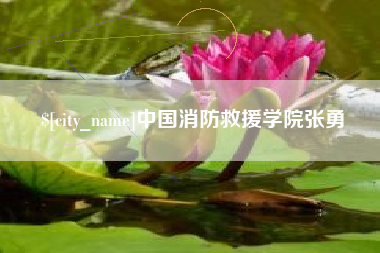 永城中国消防救援学院张勇