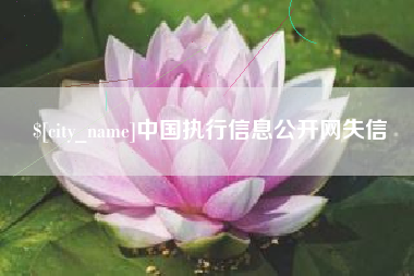 永城中国执行信息公开网失信