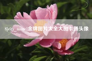 永城金牌图片大全大图卡通头像