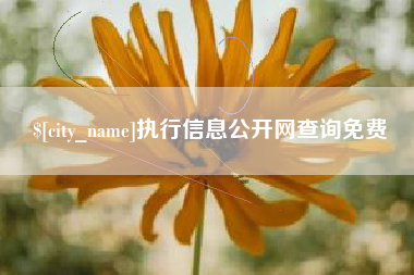 永城执行信息公开网查询免费