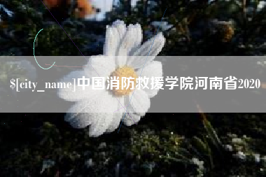 永城中国消防救援学院河南省2020