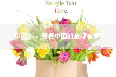永城看看中国的金牌有多少